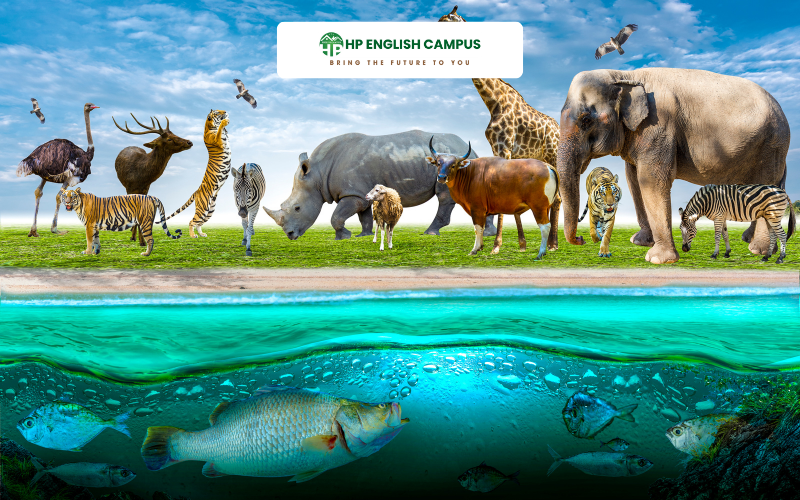 Bài học 4: Từ vựng về động vật và thiên nhiên