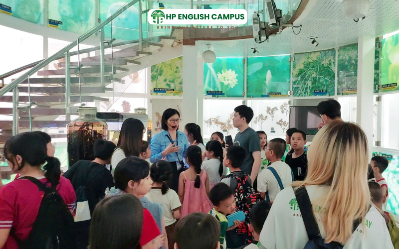 Lợi ích của trại hè tiếng anh giao tiếp trong việc học tập