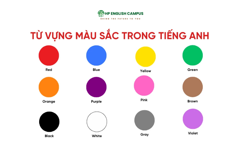 Từ vựng tiếng anh