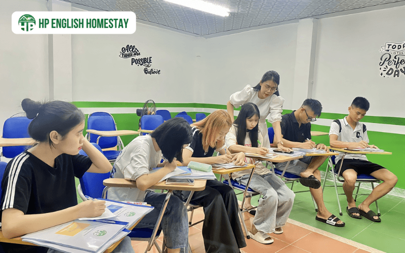 Các chương trình học tại HP English Homestay