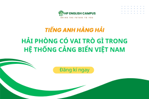 Hải Phòng có vai trò gì trong hệ thống cảng biển Việt Nam?