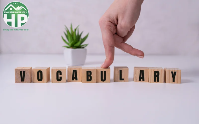 Phương pháp học từ vựng và cấu trúc câu hiệu quả