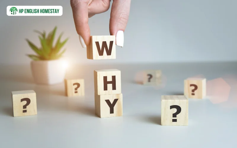 Tại sao homestay tiếng anh giá rẻ lại ngày càng phổ biến?