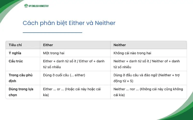 cấu trúc either và neither